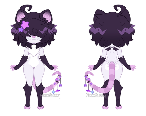 Front + Back Reference